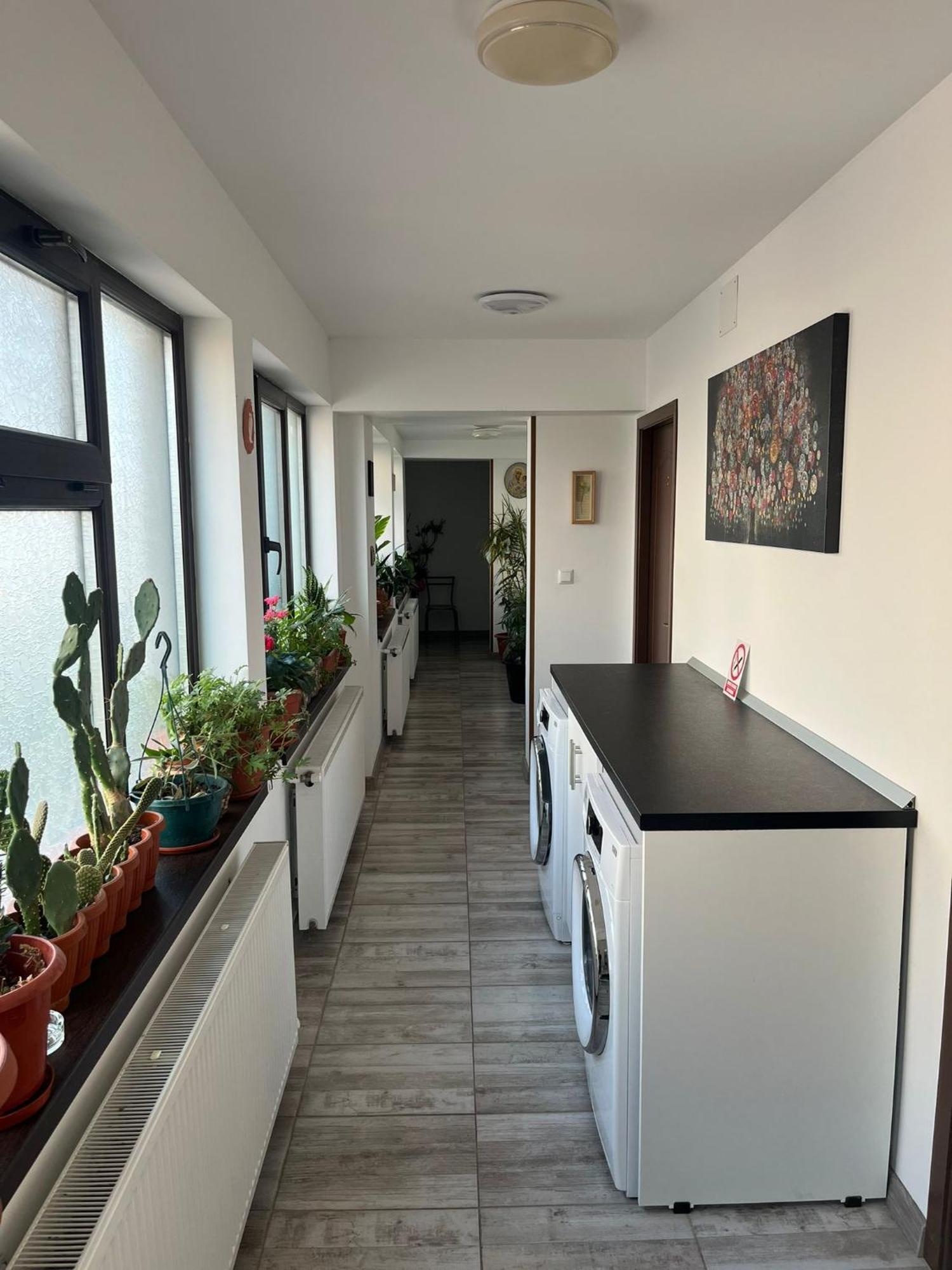 Solaria Budget Studio غالات المظهر الخارجي الصورة